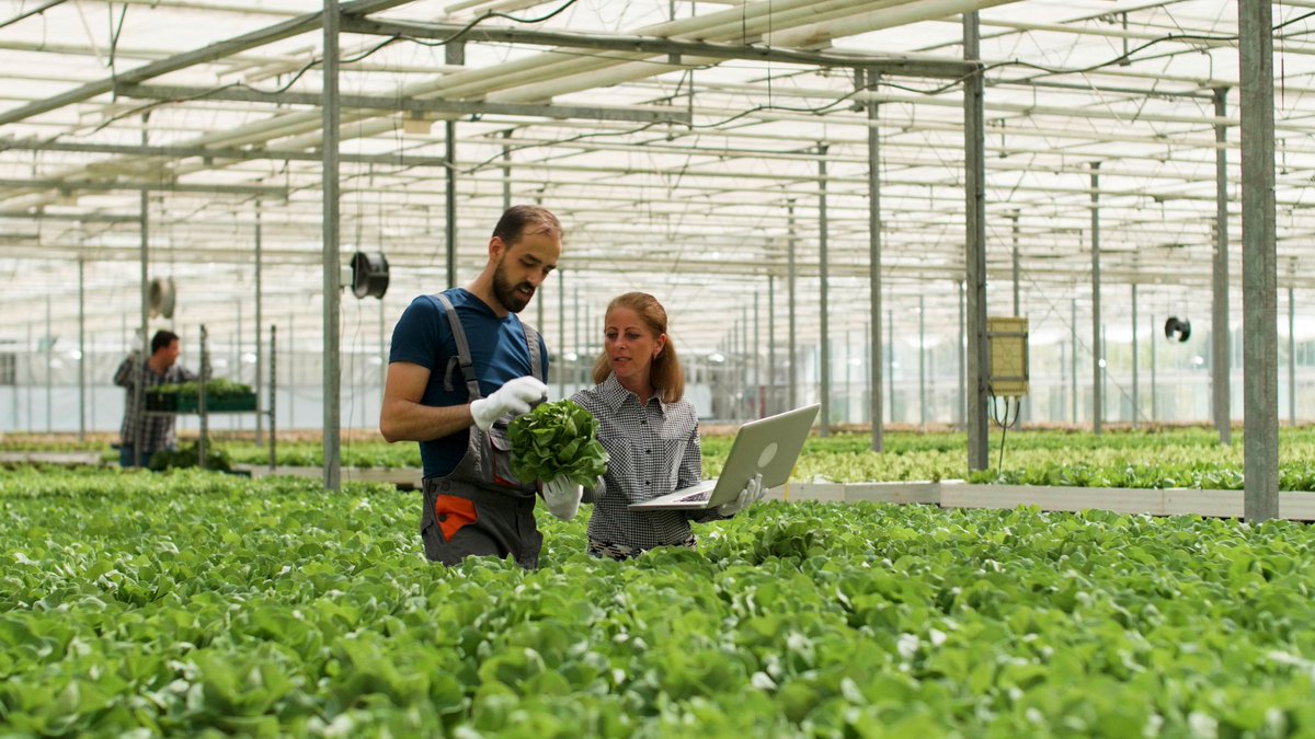 cei_A3's tweet photo. 🌱La bioeconomía gana protagonismo global
Un estudio analiza cómo Rosario (Argentina) se ha convertido en un polo clave gracias a la colaboración entre ciencia, empresa y sector público

📍Clave: los ecosistemas de innovación impulsan desarrollo sostenible
https://t.co/KfHloS5itn https://t.co/lXuApuOLI4