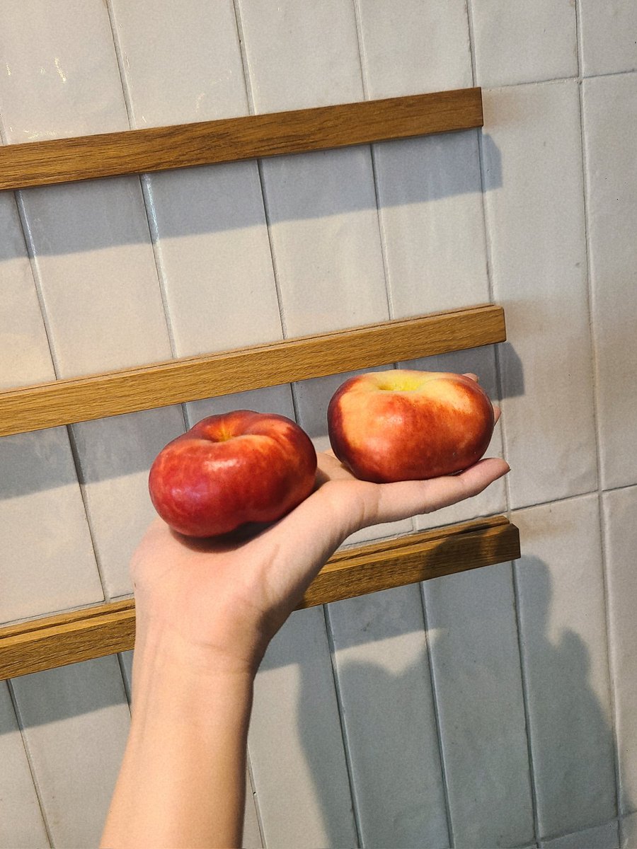 b2lovable's tweet photo. 이 계절 유럽에서 납복을 먹는 나 자신을 자랑해봅니당 https://t.co/bbm1AXDN3X