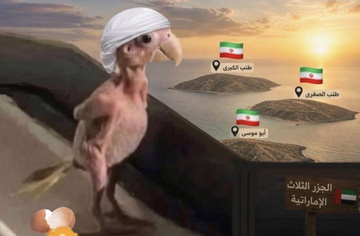 ksacbc's tweet photo. @UAE50_2021b القائد على مشارف الميدان 🙈 https://t.co/1yDzSv42My
