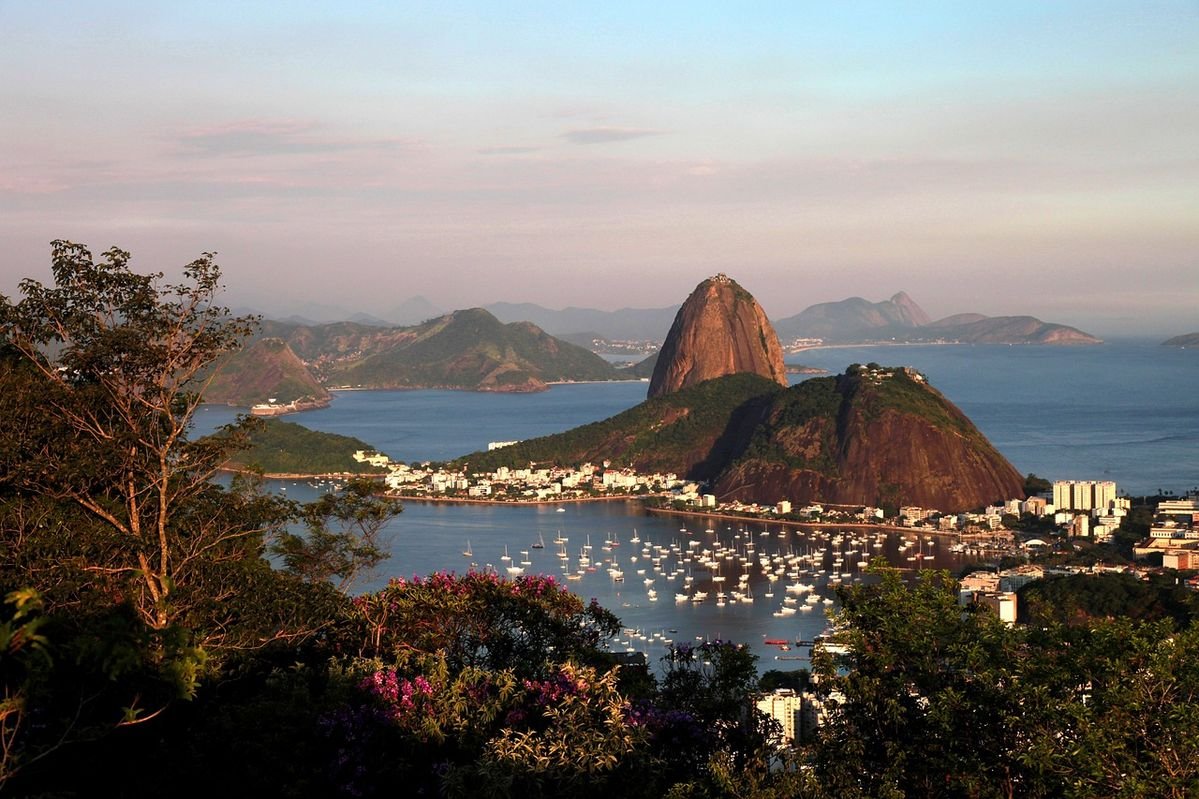 euronationalizt's tweet photo. The natural beauty of Rio is impossible to ignore https://t.co/oeHDn5xZHX