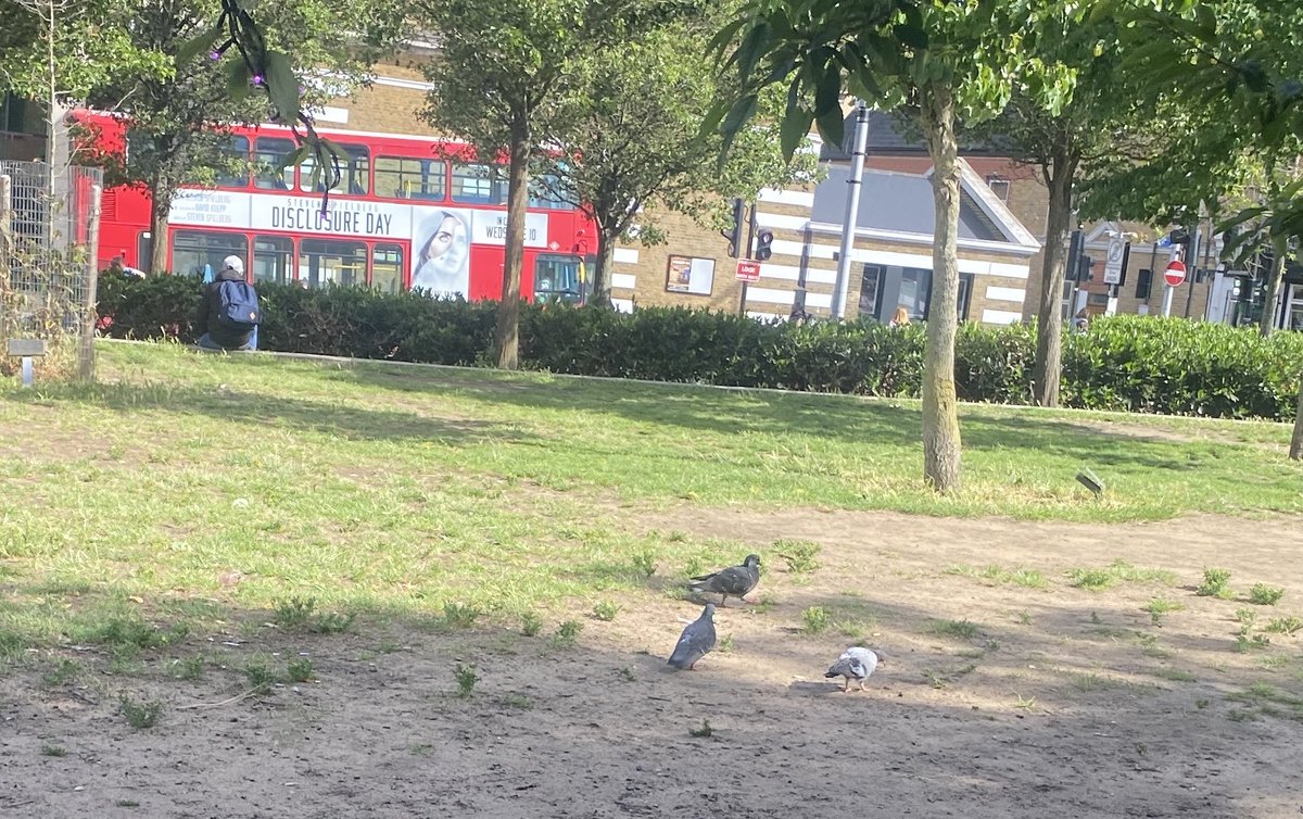 WoolwichPigeon's tweet photo. Our reaction to the news the #doctorwho  Christmas special has been cancelled https://t.co/0SU3ljPV5l
