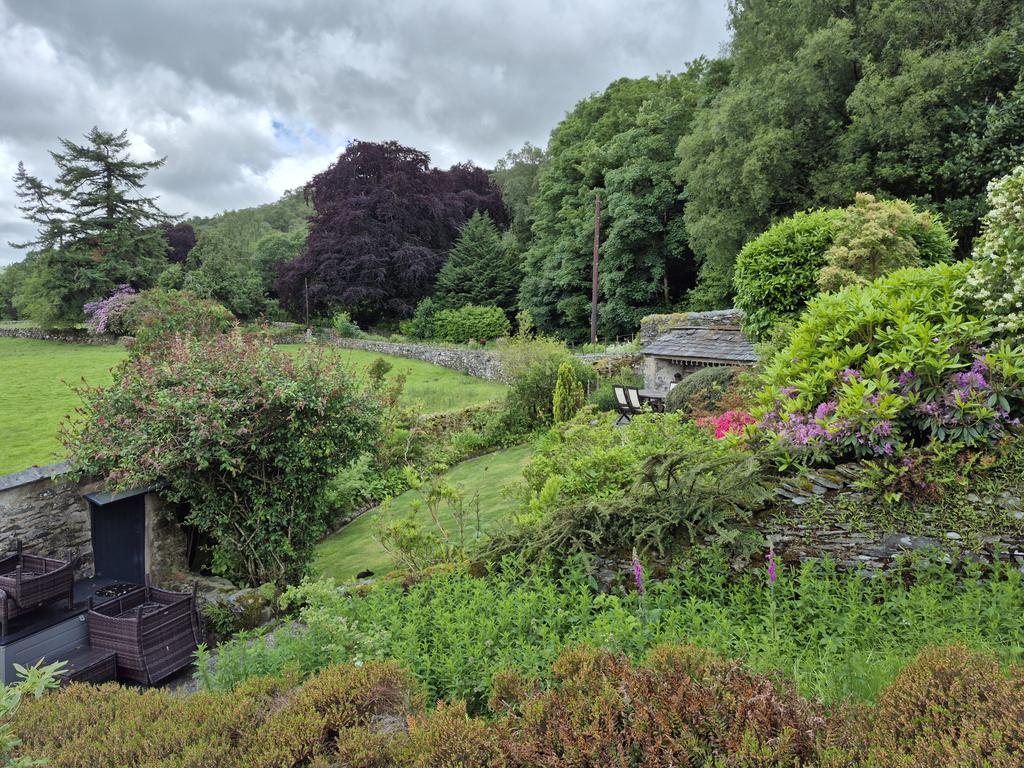 PhilSipocz's tweet photo. Yesterday in the garden. #LakeDistrict #Lakes #Cumbria https://t.co/omRLQfl7QF