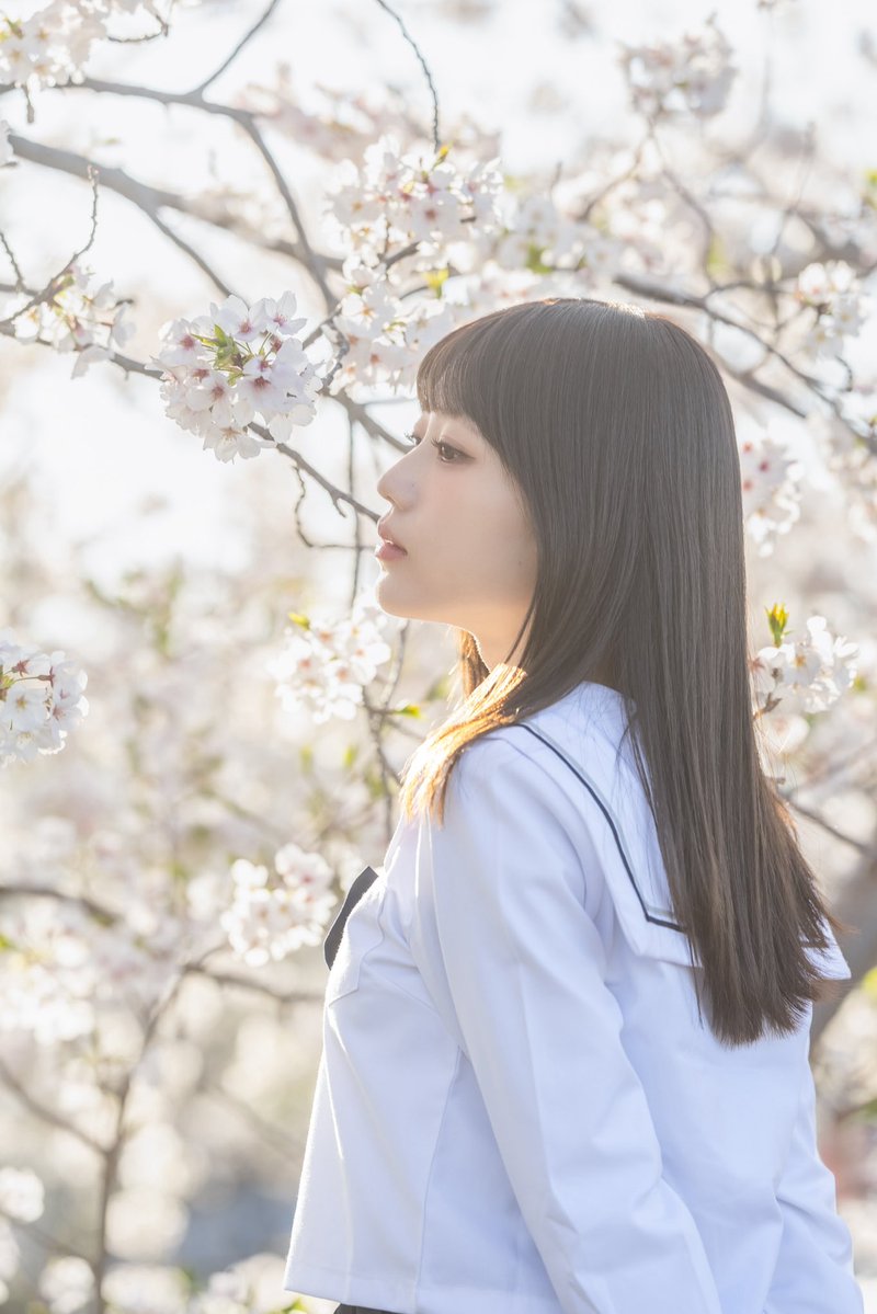 こもれびもか (@mocatankomorebi) / Posts / X