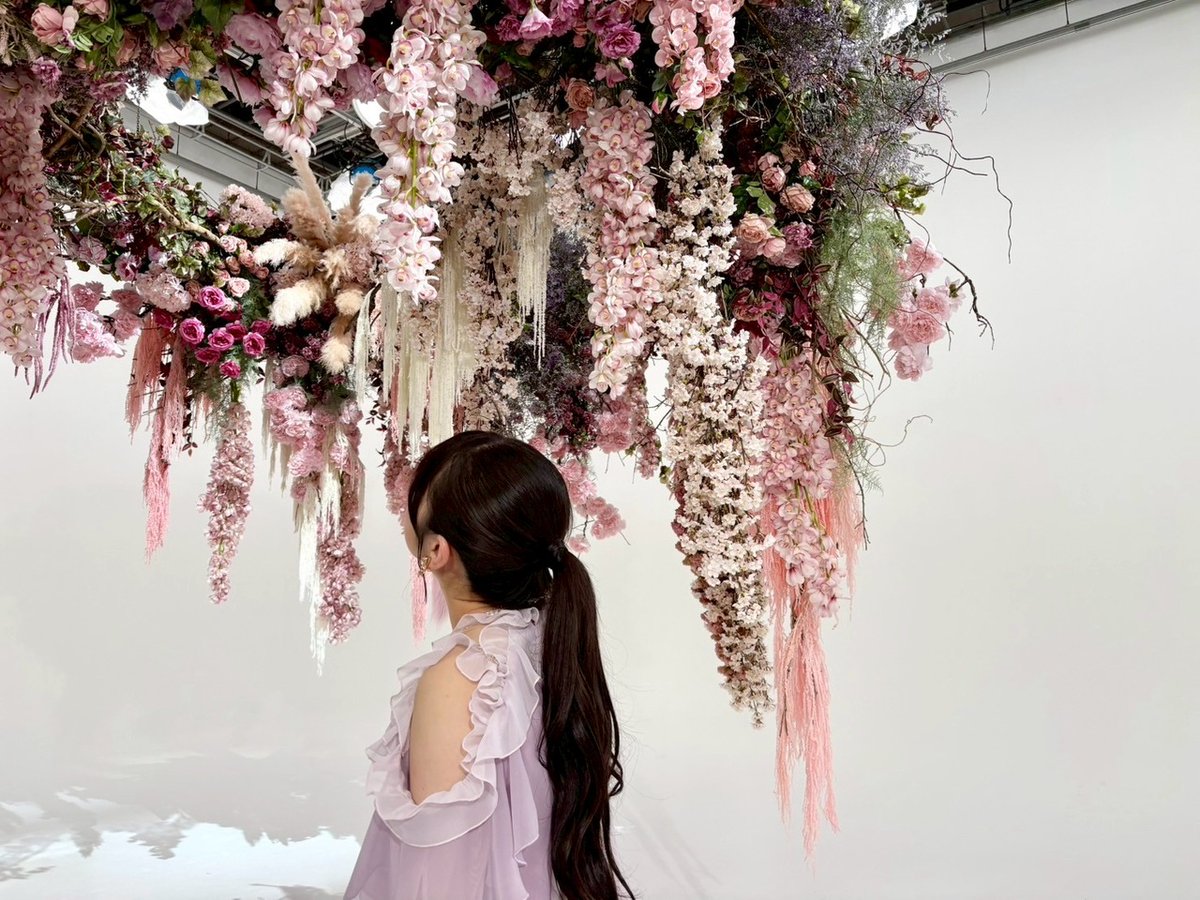 nogizaka46's tweet photo. 【ブログ更新 長嶋凛桜】 夢幻の如くなり　#りおたんの満開ブログ https://t.co/8JEGImWRBf https://t.co/NjNQNuHR4J