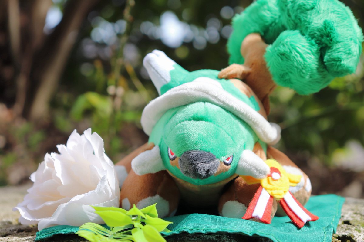 ketaki_nuikatsu's tweet photo. #キミにあえた @pokemoncenterPR 
ドダイトス、僕の人生初のポケモンは君だった。シンジ湖での出会いから19年。あれからだいぶ遠くまで来たね。きっと君じゃなければダメだったんだ。クラスの子からなんと言われようと、何をされようともその気持ちは揺らがなかった。本当にありがとうだよ https://t.co/uMmiTQ3v5x