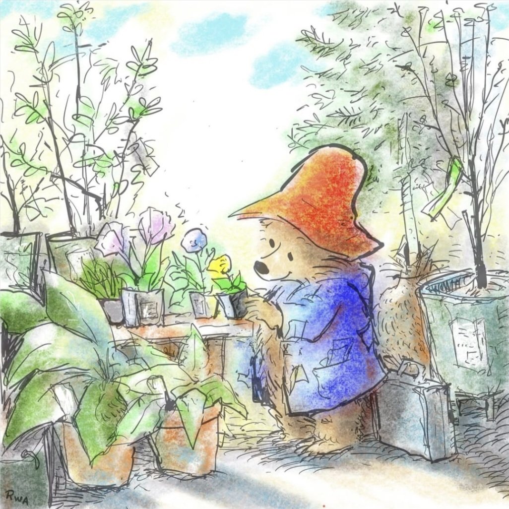 paddingtondaily's tweet photo. https://t.co/xfrkVI7yQc