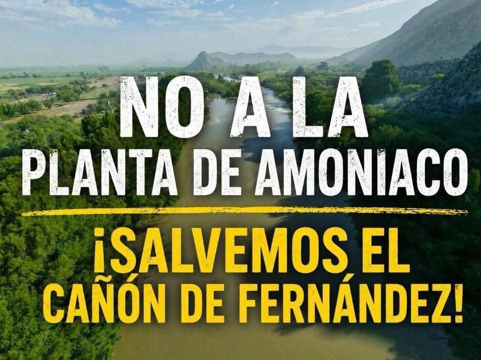 Carloctopus's tweet photo. Así como pidieron ayuda para que Royal Caribbean no hiciera Perfect Day en Mahahual los laguneros les pedimos ayuda a evitar la destrucción de uno de los pocos sistemas ecológicos de la región.
https://t.co/KM0ESgyUwa
Salvemos el Cañón de Fernández https://t.co/pCWHGQlw18