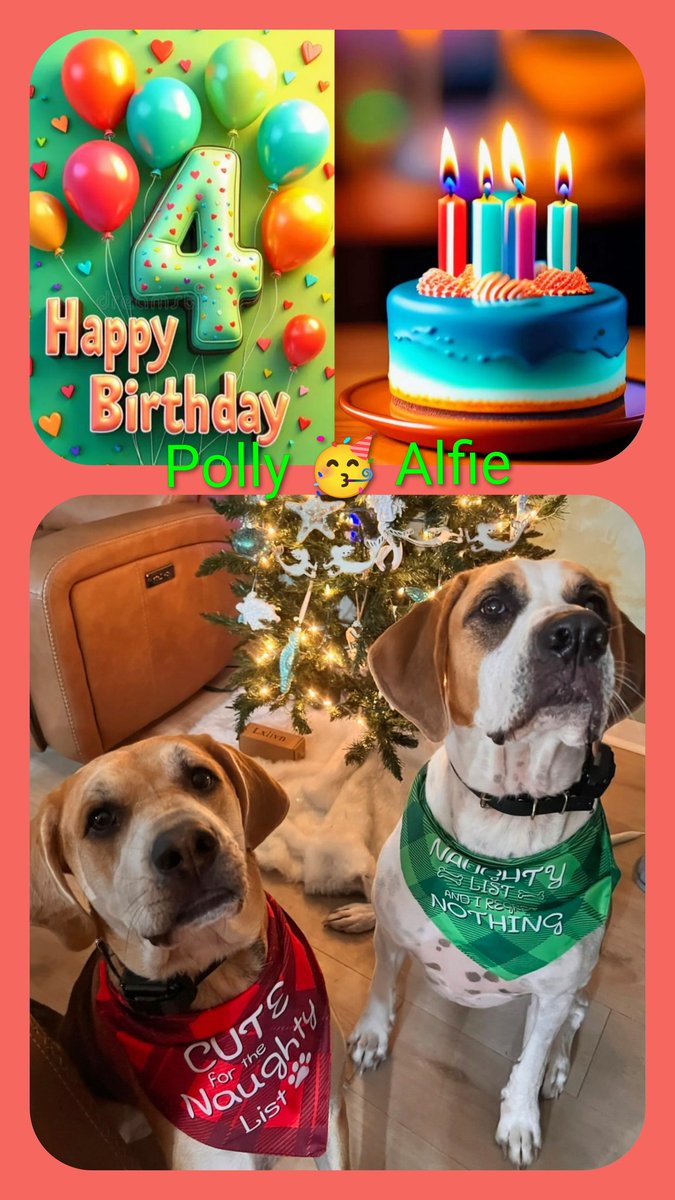 BZuela's tweet photo. @pupturds Happy birthday Alfie and Polly and to all Pupturds 🐶🐶 🎂🎉🎊🎁 Have a fun day!🥳 https://t.co/DQ6qsBLjIS