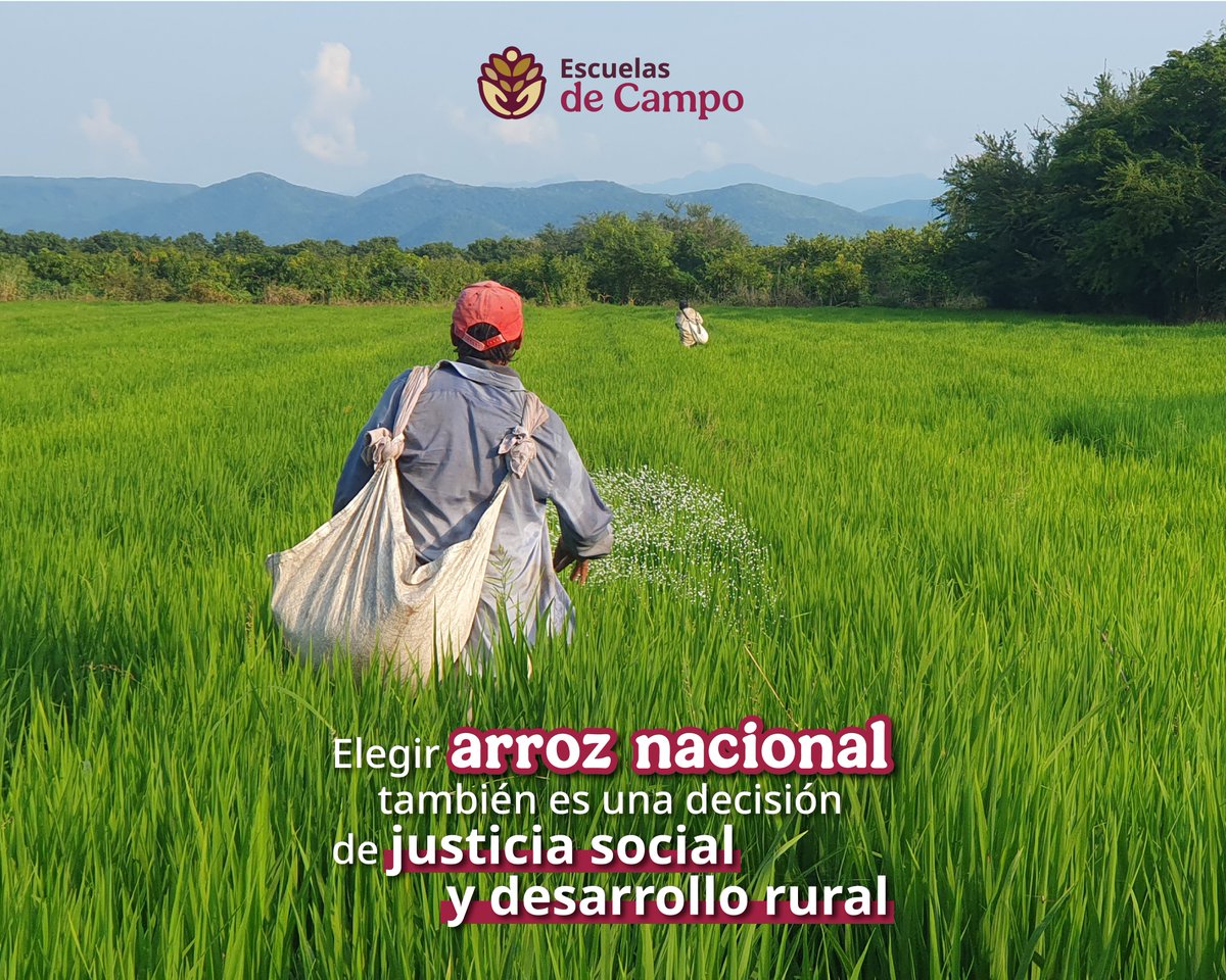 Escuelas de Campo tweet media