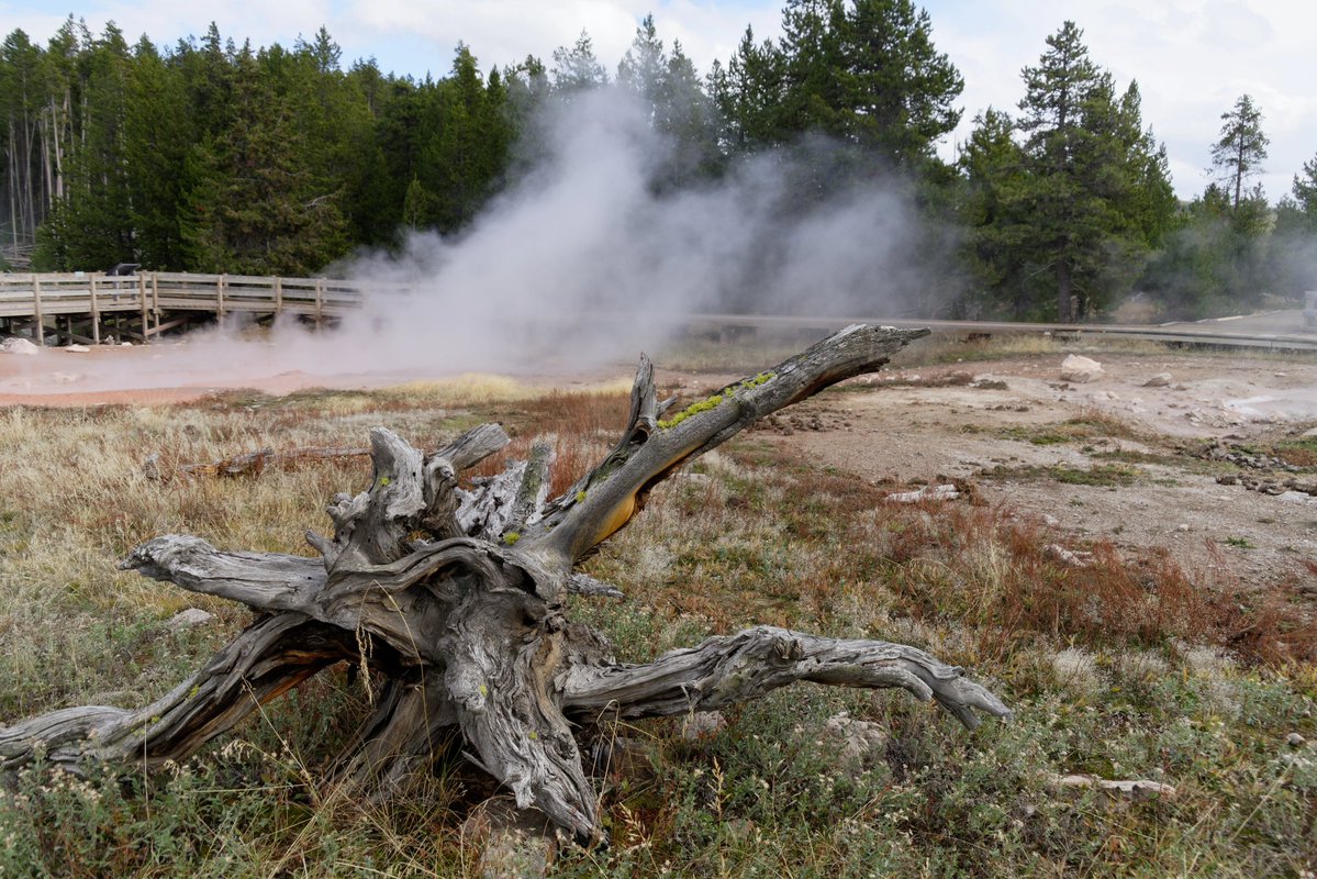 Pat44113's tweet photo. @8ntmuch #patdooleyphotography:  Yellowstone https://t.co/jo05XeaqwB