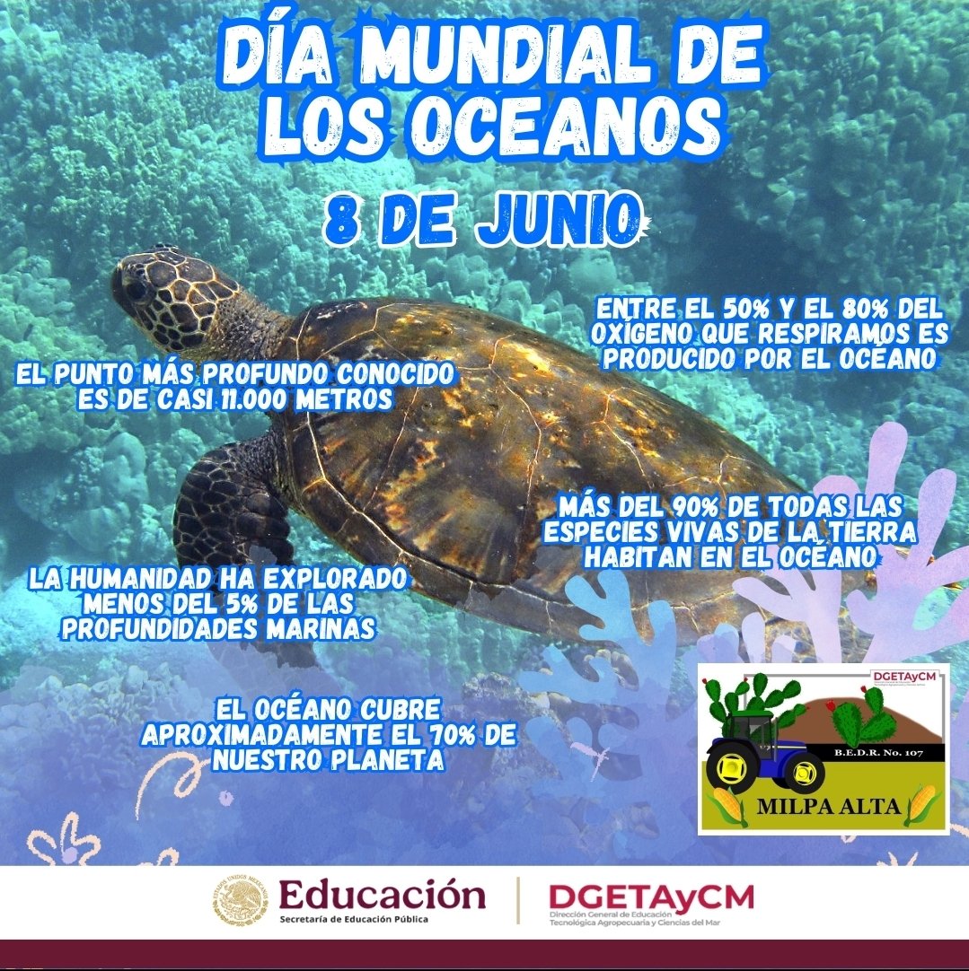 107Brigada's tweet photo. 8 de Junio Día Mundial de los Océanos 
#DGETAyCM #somosdgetaycm #brigada107 #medioambiente 
@DGETAyCMOFICIAL https://t.co/2mKpXOiYzQ