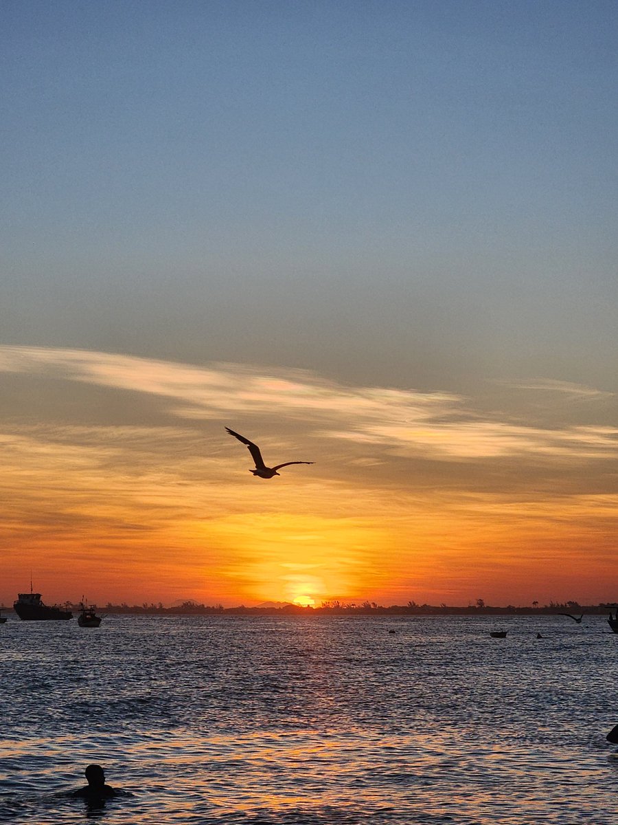 dennerdcm's tweet photo. @https_mel_ @yuri_pinto E olha que eu coloquei só as fotos do Centro porque é o foco do post, porque se eu pegar as fotos que eu tirei da Zona Sul/Oeste dá pra fazer um book fotográfico de turismo. O RJ tem seus problemas mas é lindo demais. https://t.co/cI0bpWb72T