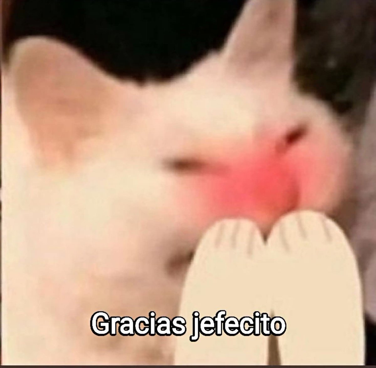 angelo_uf's tweet photo. Cuando mi jefe me encuentra parado viendo memes y me dice que me va a traer una silla para que no me canse: https://t.co/AuX31yC1gR