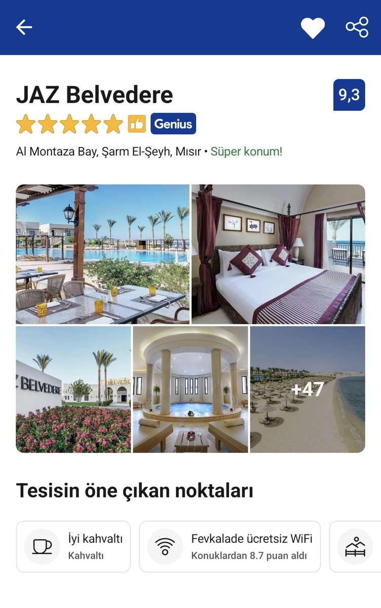anildl9's tweet photo. @selcukjk Bu otelde 5 gün konakladık kuzu çevirme bile yaptı adamlar restoranın ortasında gayet memnun ayrıldık. Denize 0 ve muazzam bir denizi var. https://t.co/SQm2z2bkMw