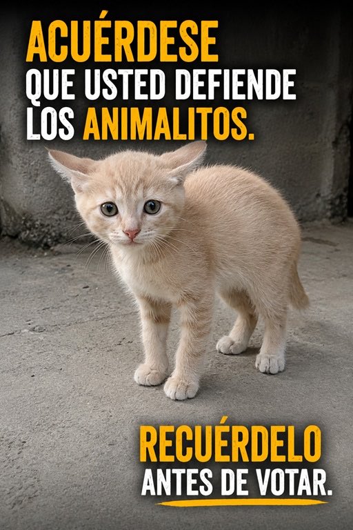 Gonzalo Guillén tweet media