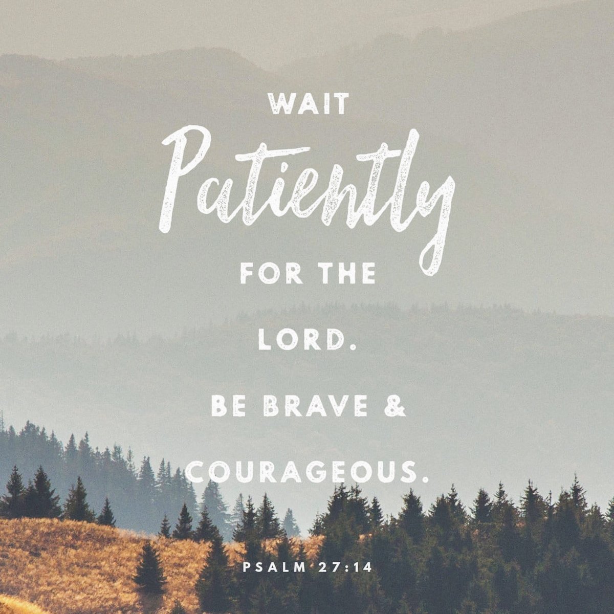 SheStandsTruth's tweet photo. “Wait for the Lord; be strong, and let your heart take courage; wait for the Lord!”
Psalm 27:14 https://t.co/dA2xd5yI2E