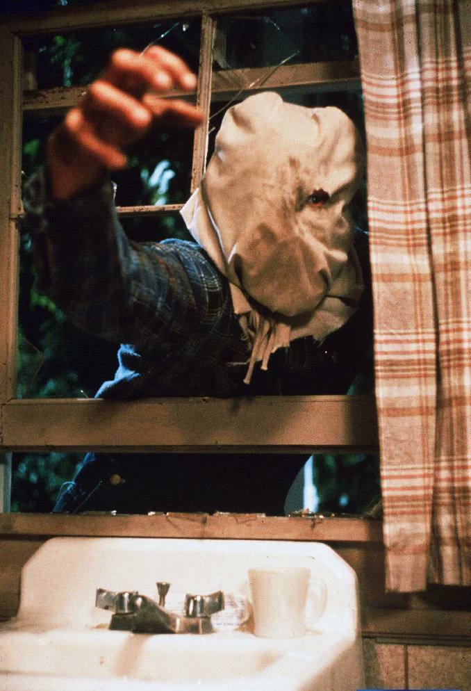 Haigha Voorhees 🐻🐺 tweet media