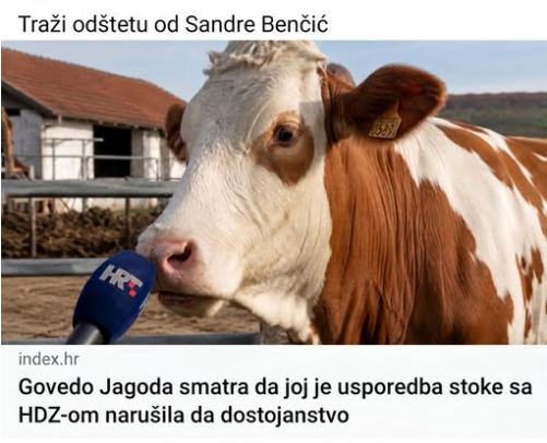 NenadKamenic's tweet photo. https://t.co/6hA7iyuAP1