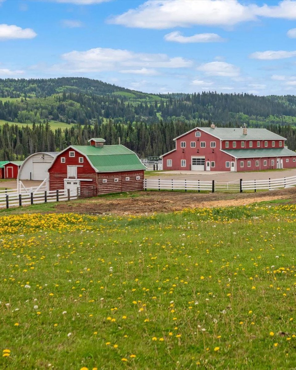 RenataReid1's tweet photo. JUST LISTED ✈️ LEGACY SKY RANCH ✈️ TURNER VALLEY

Fly In ⭐ Unwind ⭐ Live the Legacy

More than a property-it’s a lifestyle, a retreat, and a legacy.

Visit https://t.co/oWX5j4js7E for more details.

Inquire for your private tour.
Renata M. Reid
Text 403-630-3991 https://t.co/rdgt5cNpHx