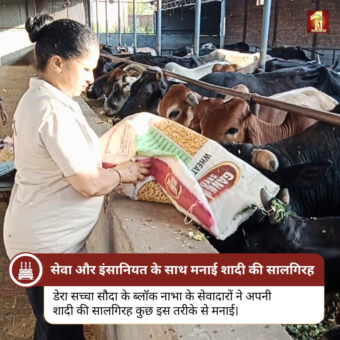 ANITA7547125037's tweet photo. @DSSNewsUpdates अपने खास दिन को समाज और जीवों की भलाई के लिए समर्पित करना सचमुच प्रेरणादायक है।
#AnimalCare #CowCare #HumanityFirst #ServingAnimals #SelflessService #DeraSachaSauda #SaintMSG #KindnessMatters #AnniversaryCelebration #SocialWelfare https://t.co/CAV0zHrjmF