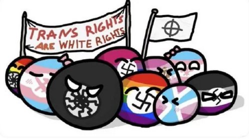 brutality288's tweet photo. @poppynlakers Trans people are based and christpilled https://t.co/nUUmI6Fc25
