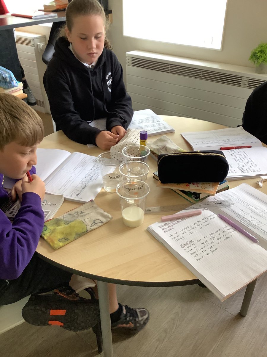 MillbrookWigan_'s tweet photo. Y6 have set up an experiment to test how the body absorbs nutrients. #mbscience https://t.co/fOvGaoH28c