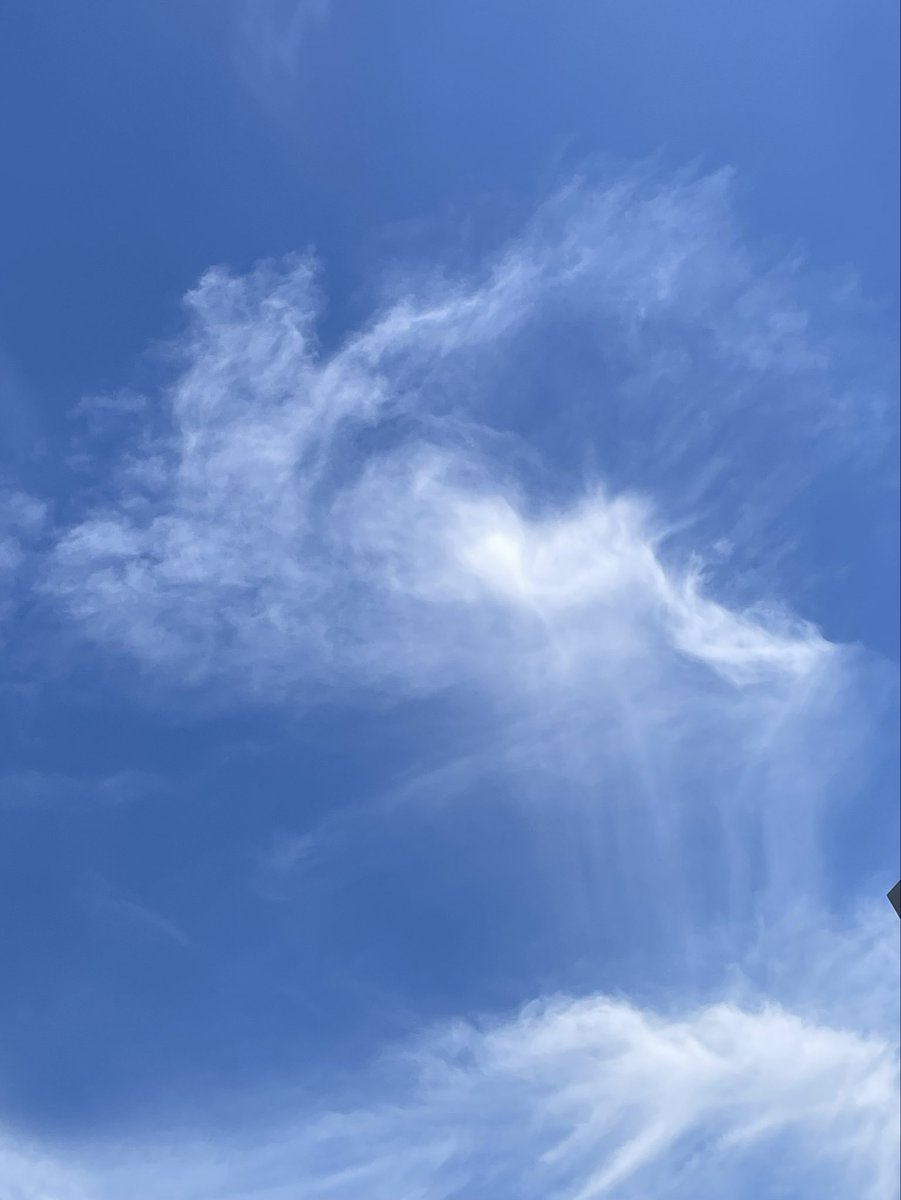 ruban0405's tweet photo. 今日は
青空にハロや雲が綺麗でした
#ハロ
#雲
#空 https://t.co/e3iuuiiyE4
