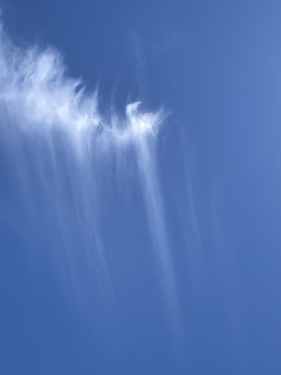 ruban0405's tweet photo. 今日は
青空にハロや雲が綺麗でした
#ハロ
#雲
#空 https://t.co/e3iuuiiyE4