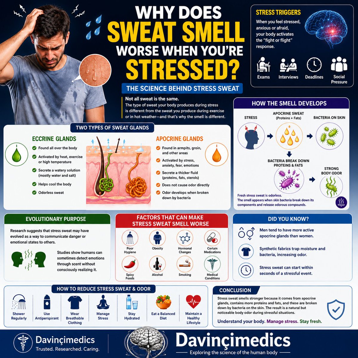 davincimedics_'s tweet photo. Stress sweat smells stronger than exercise sweat because it comes from apocrine glands, which produce sweat rich in proteins and fats. When skin bacteria break down these substances, they create the characteristic body odor associated with stress. #fypシ゚viralシfypシ゚ #medical https://t.co/vm1MJNpseJ
