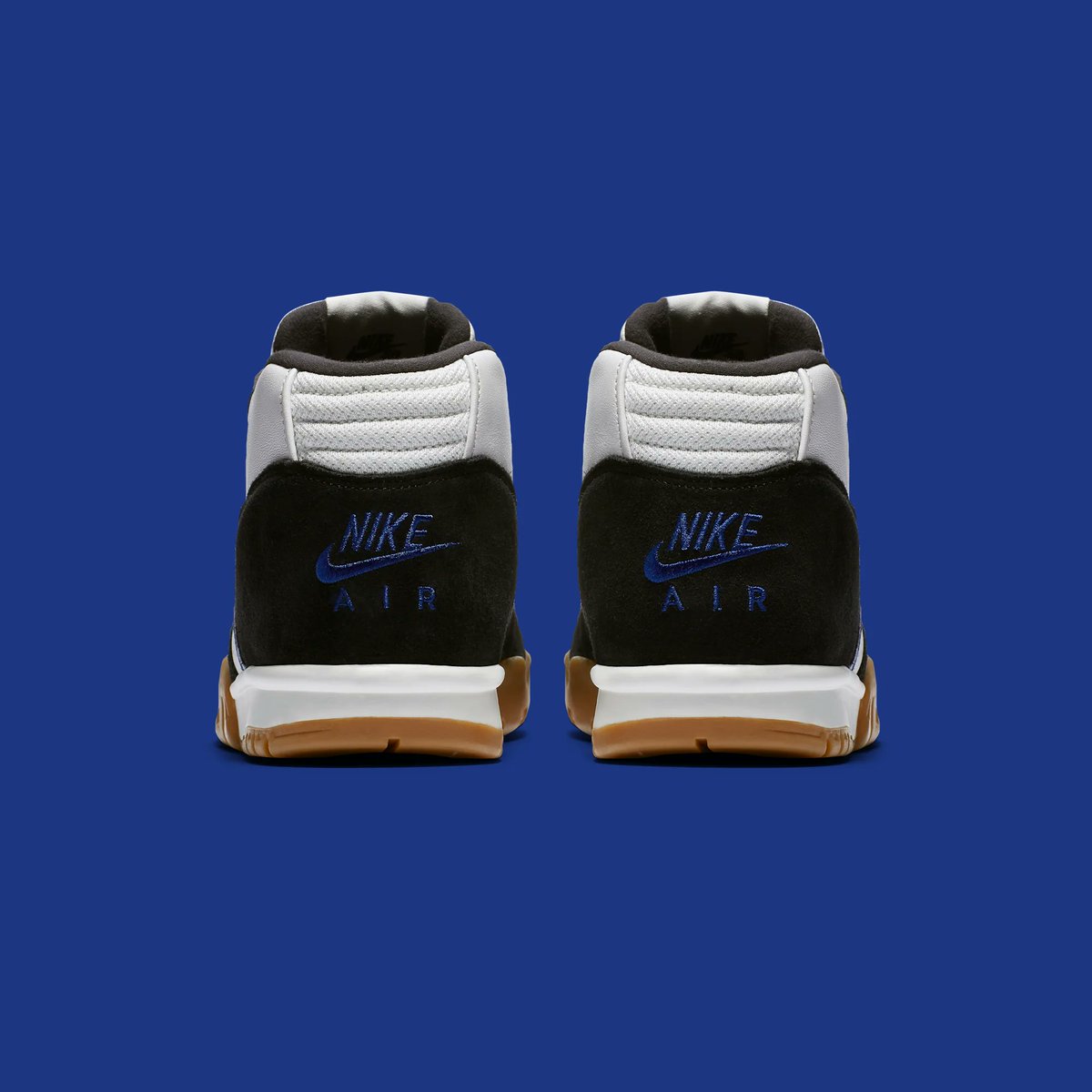 Nike Air Trainer Polar Polar Skate X Nike SB Air Trainer First 