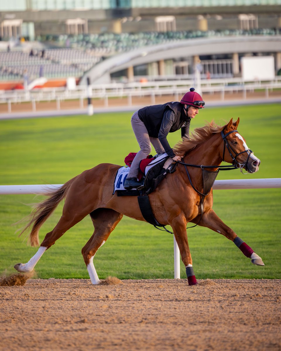RacingDubai's tweet photo. Clash of the #DRCgrads ❓

Meydan visitors GALEN, DIVIDEND and ARABIAN LIGHT have all been entered for the Listed Wolferton Stakes @Ascot on Tuesday.

#DRCgrads https://t.co/RLHPczcxBJ