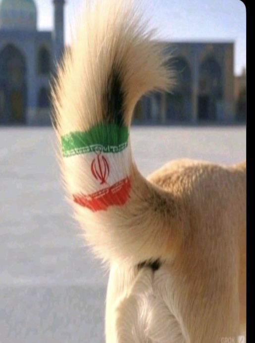 karoun48's tweet photo. @mohammedhaniya الدكتور #لقاء_مكي قاهر ذيول ايران !! https://t.co/0FxobxOiwF