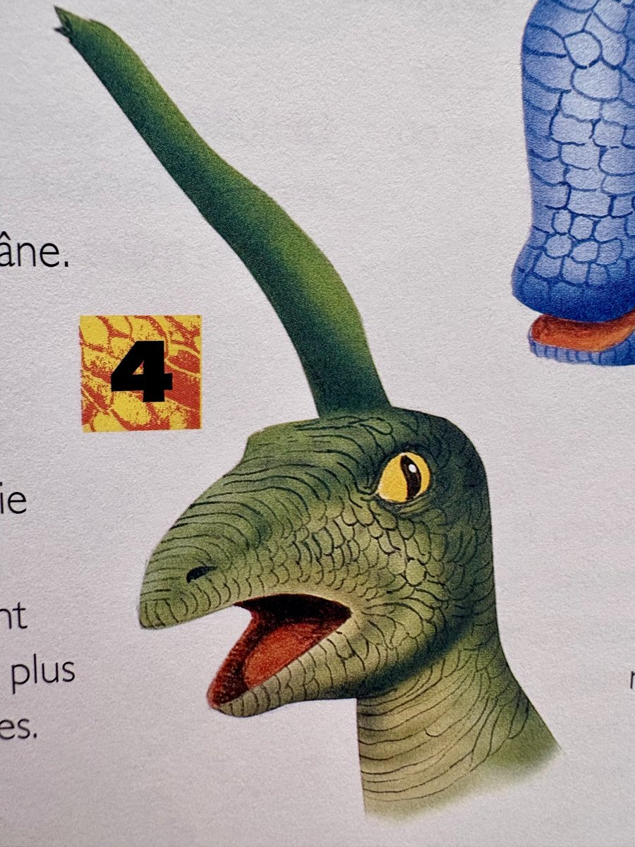 ShinyMoro's tweet photo. I was reading an old dinosaur book I have since I’m a child, and I’ve found my new « Surprised Pikachu » https://t.co/81bKlmOgvN