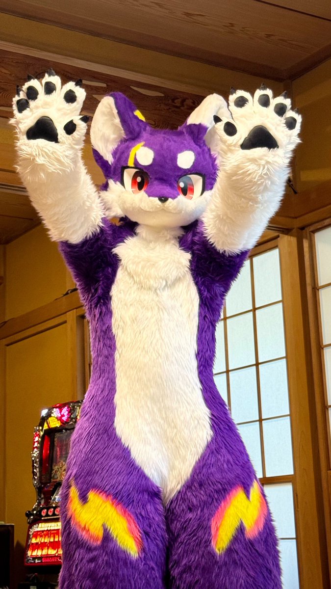 EMM_ma2's tweet photo. ばぁー🐾🐾 https://t.co/VFnW6C9m3j