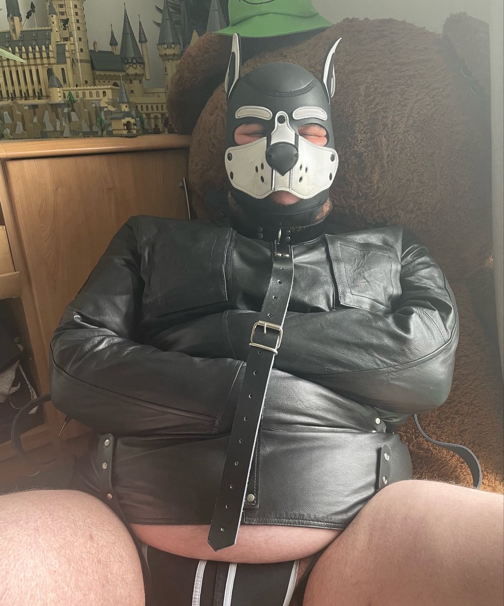 Mayo_Apocalypse's tweet photo. @LittleChubstr @pupcryff If they make a white one like my pup hood then I’ll listen https://t.co/Y60ABwRgzQ
