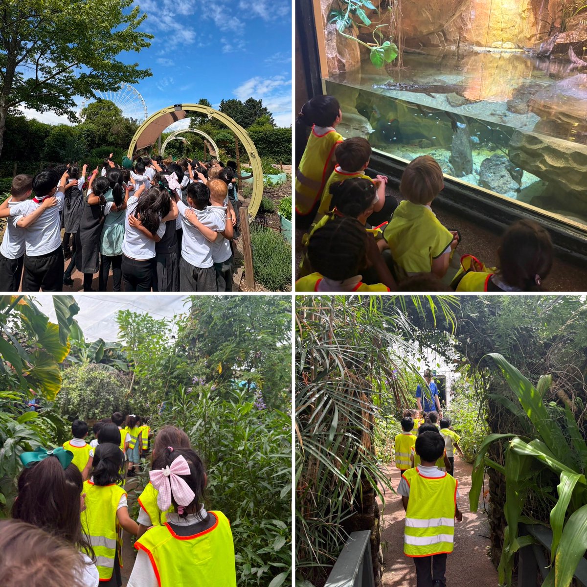 TheOaklandsBham's tweet photo. Our Reception Explorers put their minibeast knowledge into action during an exciting visit to the Butterfly Farm! 🦋
A wonderful opportunity to learn more about the world around us through hands-on experiences. #BeCurious #EYFS #StrongFoundations #SHREC #UnderstandingTheWorld https://t.co/M8O42JL7XX