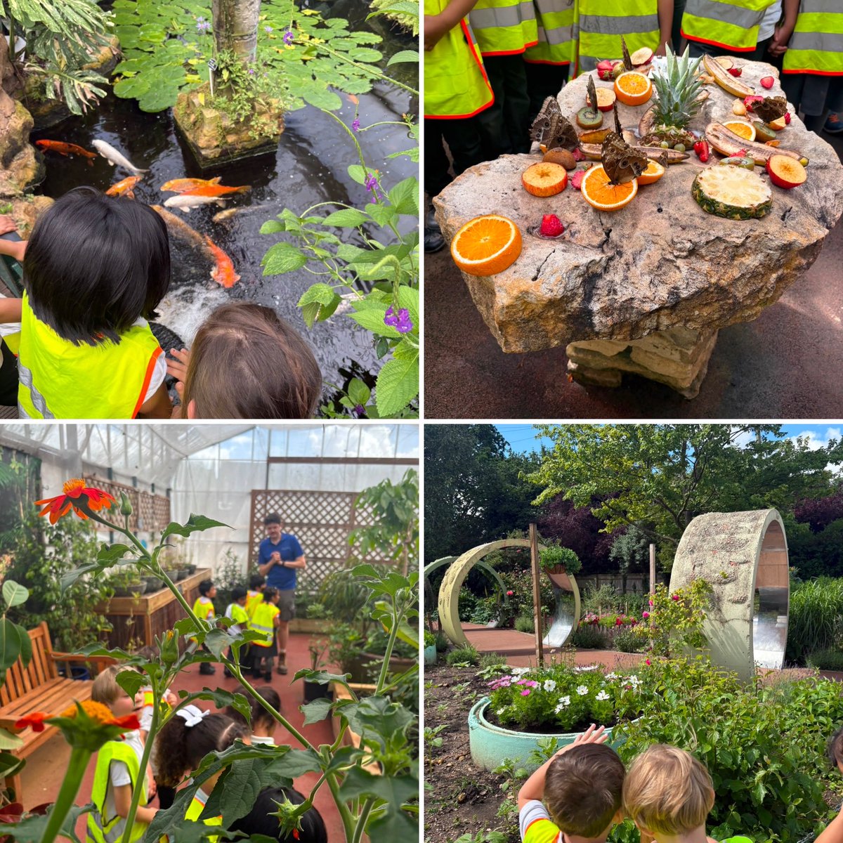 TheOaklandsBham's tweet photo. Our Reception Explorers put their minibeast knowledge into action during an exciting visit to the Butterfly Farm! 🦋
A wonderful opportunity to learn more about the world around us through hands-on experiences. #BeCurious #EYFS #StrongFoundations #SHREC #UnderstandingTheWorld https://t.co/M8O42JL7XX