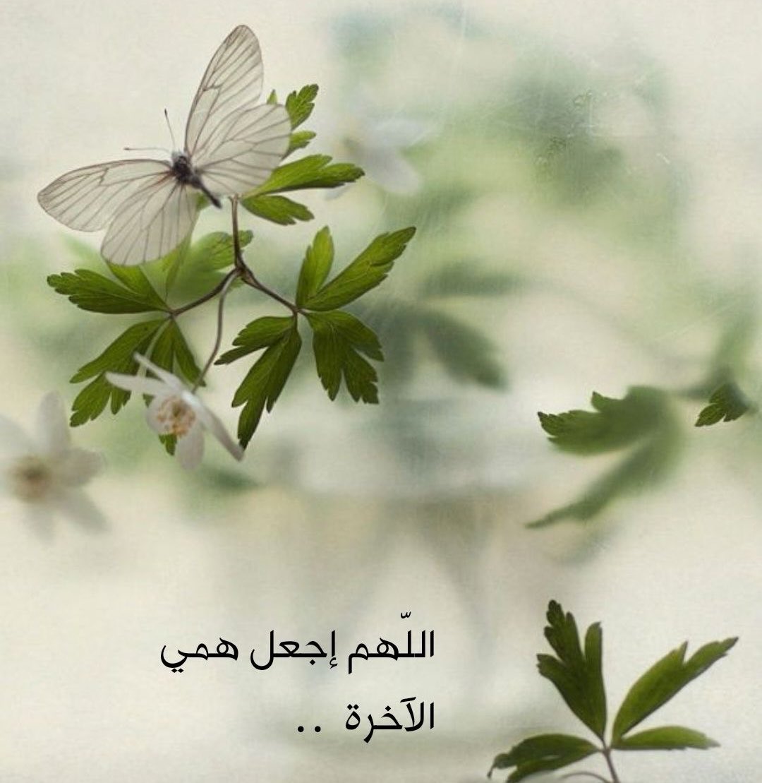 Smyal201122's tweet photo. #رسالة_اليوم  🕊️🕊️

✍️ …

#فتاوى 

حكم إلباس  النساء في جميع  الحالات….
امام محارمهم 
وامام بعضهم بعض 

أصدرت اللجنة الدائمة للبحوث العلمية والإفتاء بياناً في هذا الشأن وهذا نصه :
الحمد لله رب العالمين ، والصلاة والسلام على نبينا محمد ، وعلى آله وصحبه أجمعين ، وبعد :
فقد كان نساء المؤمنين في صدر الإسلام قد بلغن الغاية في الطهر والعفاف والحياء والحشمة ببركة الإيمان بالله ورسوله ، واتباع القرآن والسنة ، وكانت النساء في ذلك العهد يلبسن الثياب الساترة ، ولا يعرف عنهن التكشف ، والتبذل عند اجتماعهن ببعضهن أو بمحارمهن ، وعلى هذه السنة القويمة جرى عمل نساء الأمة 

- ولله الحمد - قرناً بعد قرن إلى عهد قريب ، فدخل في كثير من النساء ما دخل من فساد في اللباس والأخلاق لأسباب عديدة ، ليس هذا موضع بسطها .

ونظراً لكثرة الاستفتاءات الواردة إلى اللجنة الدائمة للبحوث العلمية والإفتاء عن نظر المرأة إلى المرأة ، وما يلزمها من اللباس ، 
فإن اللجنة تبين لعموم نساء المسلمين أنه يجب على المرأة أن تتخلق بخلق الحياء ، الذي جعله النبي صَلَّى اللَّهُ عَلَيْهِ وَسَلَّمَ من الإيمان وشُعبة من شُعبه ، ومن الحياء المأمور به شرعاً وعرفاً : تستر المرأة واحتشامها وتخلقها بالأخلاق التي تبعدها عن مواقع الفتنة ومواضع الريبة .
وقد دل ظاهر القرآن على أن المرأة لا تبدي للمرأة إلا ما تبديه لمحارمها ، مما جرت العادة بكشفه في البيت ، وحال المهنة (يعني الخدمة في البيت) ، 
كما قال تعالى : (وَلا يُبْدِينَ زِينَتَهُنَّ إِلا لِبُعُولَتِهِنَّ أَوْ آبَائِهِنَّ أَوْ آبَاءِ بُعُولَتِهِنَّ أَوْ أَبْنَائِهِنَّ أَوْ أَبْنَاءِ بُعُولَتِهِنَّ أَوْ إِخْوَانِهِنَّ أَوْ بَنِي إِخْوَانِهِنَّ أَوْ بَنِي أَخَوَاتِهِنَّ أَوْ نِسَائِهِنَّ) النور/31 .
وإذا كان هذا هو نص القرآن وهو ما دلت عليه السنة ، فإنه هو الذي جرى عليه عمل 

نساء الرسول صَلَّى اللَّهُ عَلَيْهِ وَسَلَّمَ ونساء الصحابة ، ومن اتبعهن بإحسان من نساء الأمة إلى عصرنا هذا ، وما جرت العادة بكشفه للمذكورين في الآية هو ما يظهر من المرأة غالباً في البيت ، وحال المهنة ، ويشق عليها التحرز منه ، كانكشاف الرأس واليدين والعنق والقدمين ، وأما التوسع في التكشف فعلاوة على أنه لم يدل على جوازه دليل من كتاب أو سنة – هو أيضاً طريق لفتنة المرأة والافتتان بها من بنات جنسها ، وهذا موجود بينهن ، وفيه أيضاً قدوة سيئة لغيرهن من النساء ، كما أن في ذلك تشبهاً بالكافرات والبغايا والماجنات في لباسهن ، 
وقد ثبت عن النبي صَلَّى اللَّهُ عَلَيْهِ وَسَلَّمَ أنه قال : (مَنْ تَشَبَّهَ بِقَوْمٍ فَهُوَ مِنْهُمْ) أخرجه الإمام أحمد وأبو داود ، وفي صحيح مسلم (2077) 
عن عبد الله بن عمرو أن النبي صَلَّى اللَّهُ عَلَيْهِ وَسَلَّمَ رَأَى عليه ثَوْبَيْنِ مُعَصْفَرَيْنِ ، فَقَالَ : ( إِنَّ هَذِهِ مِنْ ثِيَابِ الْكُفَّارِ فَلا تَلْبَسْهَا ) 
.
وفي صحيح مسلم أيضاً (2128) أن النبي صَلَّى اللَّهُ عَلَيْهِ وَسَلَّمَ قال : ( صِنْفَانِ مِنْ أَهْلِ النَّارِ لَمْ أَرَهُمَا : قَوْمٌ مَعَهُمْ سِيَاطٌ كَأَذْنَابِ الْبَقَرِ يَضْرِبُونَ بِهَا النَّاسَ ، وَنِسَاءٌ كَاسِيَاتٌ عَارِيَاتٌ مُمِيلاتٌ مَائِلاتٌ ، رُءُوسُهُنَّ كَأَسْنِمَةِ الْبُخْتِ الْمَائِلَةِ ، لا يَدْخُلْنَ الْجَنَّةَ وَلا يَجِدْنَ رِيحَهَا ، وَإِنَّ رِيحَهَا لَيُوجَدُ مِنْ مَسِيرَةِ كَذَا وَكَذَا ) 
ومعنى : ( كَاسِيَاتٌ عَارِيَاتٌ ) هو أن تكتسي المرأة ما لا يسترها فهي كاسية ، وهي في الحقيقة عارية ، مثل من تلبس الثوب الرقيق الذي يشف بشرتها ، أو الثوب الذي يبدي تقاطيع جسمها أو الثوب القصير الذي لا يستر بعض أعضائها .
فالمتعين على نساء المسلمين : التزام الهدي الذي كان عليه أمهات المؤمنين ونساء الصحابة رضي الله عنهن ومن اتبعهن بإحسان من نساء هذه الأمة ، والحرص على التستر والاحتشام ، فذلك أبعد عن أسباب الفتنة ، وصيانة للنفس عما تثيره من دواعي الهوى الموقع في الفواحش .
كما يجب على نساء المسلمين الحذر من الوقوع فيما حرمه الله ورسوله من الألبسة التي فيها تشبه بالكافرات والعاهرات ، طاعةً لله ورسوله ، ورجاءً لثواب الله ، وخوفاً من عقابه .

#فتاوي_نسائيه 
#حقيقه_يجب_استيعابها 
#صالحه_بنت_محمد