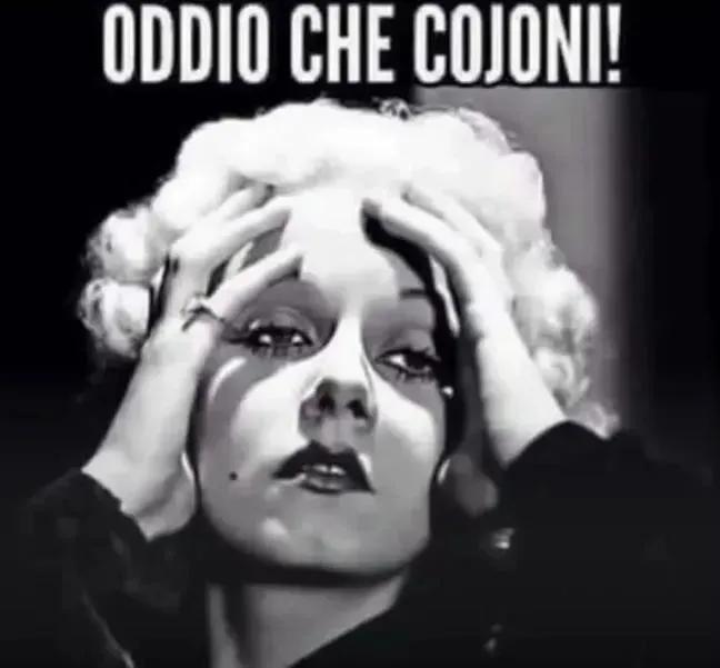ridocarlo's tweet photo. @FratellidItalia È la 50° inchiesta che non ha mai trovato un cazzo https://t.co/fndqHwxoxU