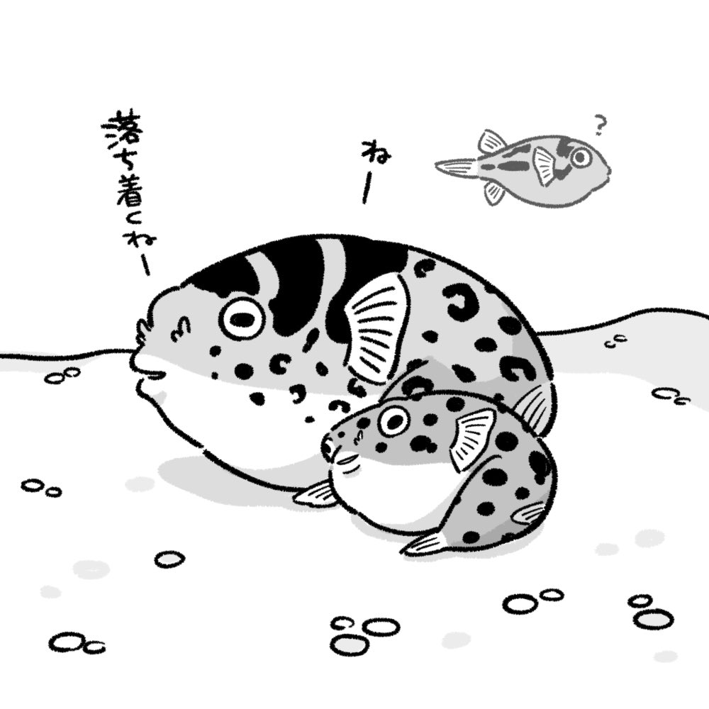 chamisuke_bon2's tweet photo. 今回はミドリさんとトパーズくん
フグボールのお話です🐡
しるくさん(@Silque_ )のお家のふく丸ちゃん、ぷくぷく丸ちゃんのエピソードを参考にさせていただきました！ https://t.co/3lOfpk9Awu