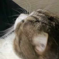 on1yul's tweet photo. hunter and his cutie cheeks 🥹🤏🏻 https://t.co/VwNkBZ7BM3