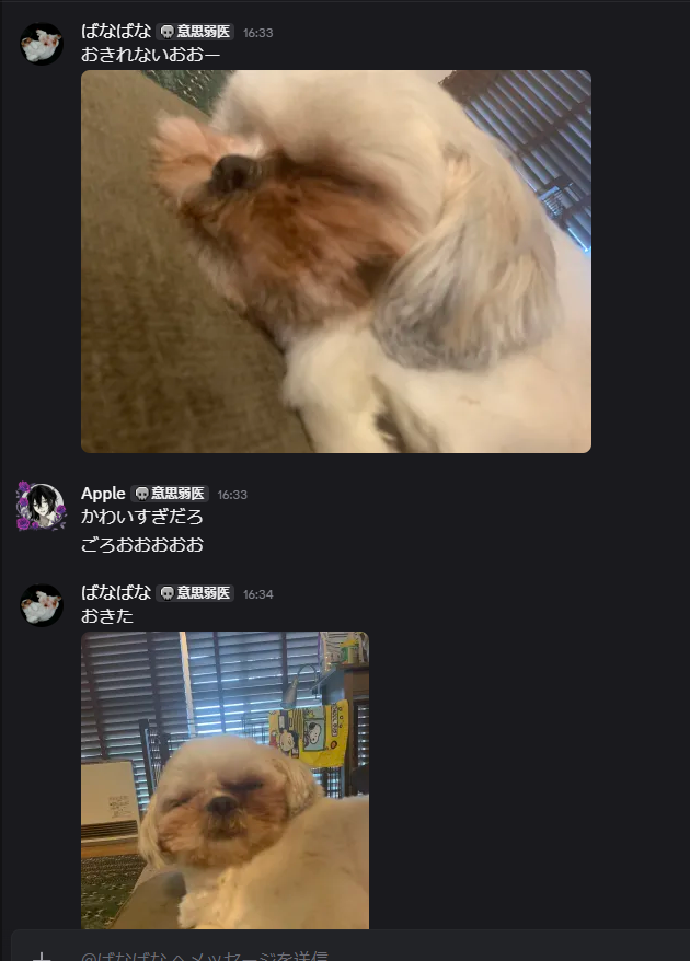 AppledeLyra's tweet photo. 友達の犬が可愛すぎる https://t.co/AgYzZpMAj5