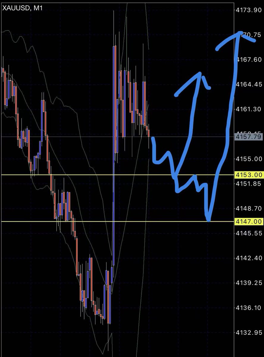 Trader X tweet media