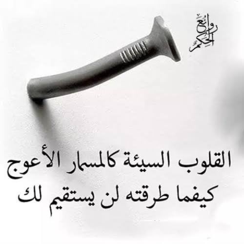 شفاء tweet media