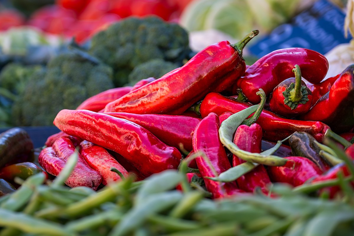 slitoff's tweet photo. Check out this photo I have for sale of #peppers at a farmers market in #Greece.  https://t.co/DuiYzk2y4O

#food #foodphotography #vegetables #veggies #farmersmarket #freshproduce #travelphotography #groceries #redpepper https://t.co/1L2z0AEZWc