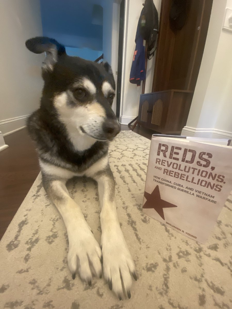 DubstepInDPRK's tweet photo. My newest book, “Reds, Revolutions, and Rebellions: How China, Cuba, and Vietnam Transformed Guerilla Warfare" is now shipping from @CornellPress !

https://t.co/a9ykTrsgdn

My dog earns commission in treats every time someone retweets this. https://t.co/Ohdv7ANqcZ