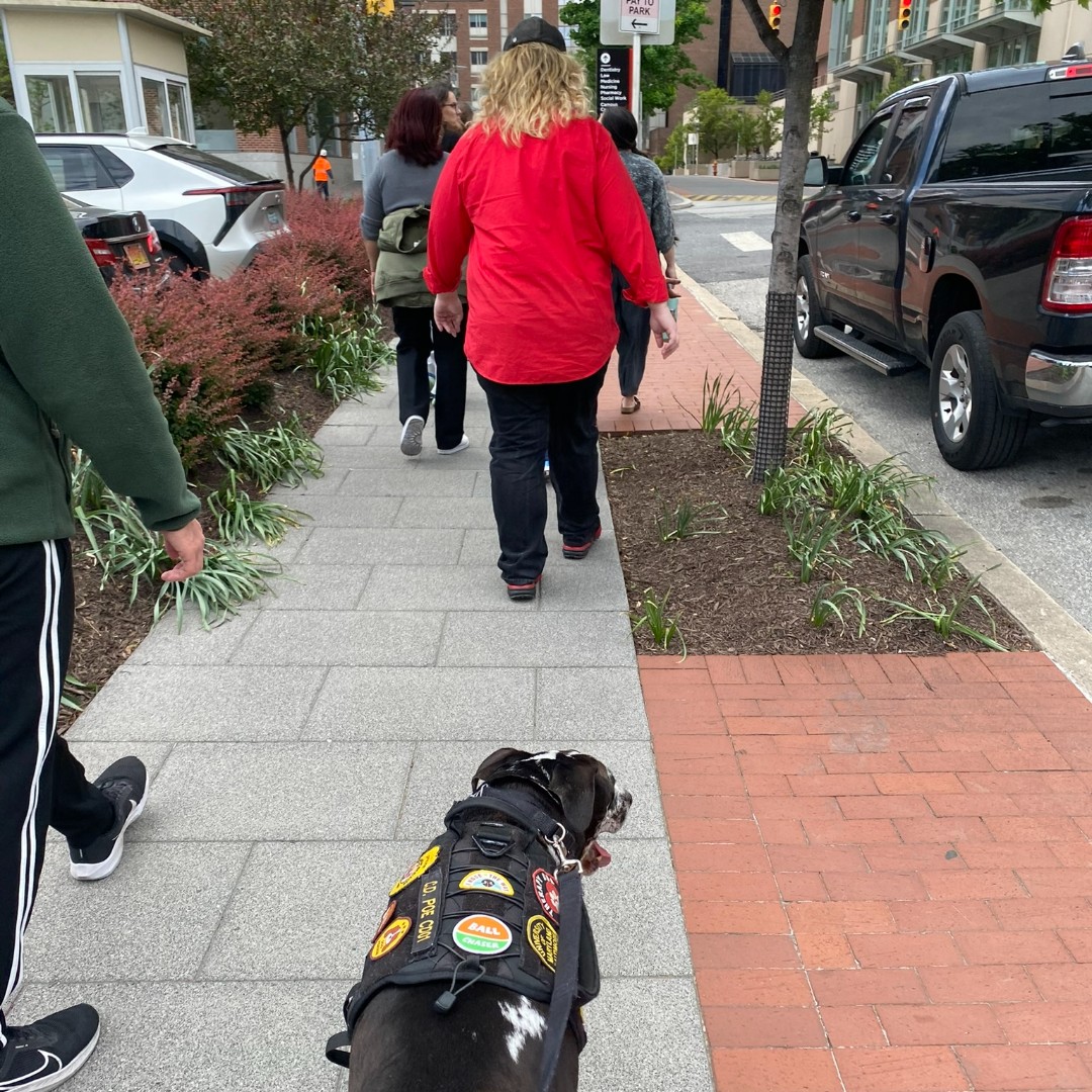 PoliceUmb's tweet photo. Are you joining Poe for Walking Wednesday today? Meet us at the Lexington Building at 12 p.m. and bring water! Thanks to @sustainableumb for including us! https://t.co/I1XFWuWDDI