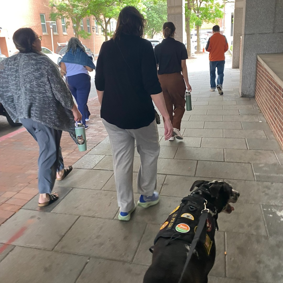 PoliceUmb's tweet photo. Are you joining Poe for Walking Wednesday today? Meet us at the Lexington Building at 12 p.m. and bring water! Thanks to @sustainableumb for including us! https://t.co/I1XFWuWDDI