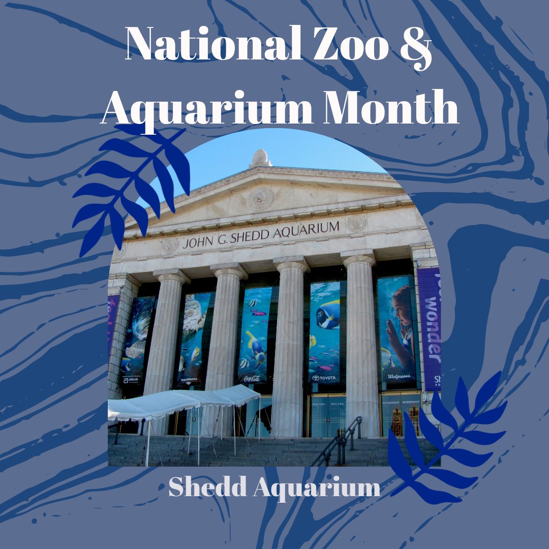 GotGreco's tweet photo. June marks the National Zoo &amp; Aquarium Month, and what place better to commemorate it with than Chicago!☺️🦓🐟 Lincoln Park Zoo is located just 10 minutes from our office with free admission!😁📸🐘 #StateFarm #Chicago https://t.co/KhU0chb1jR
