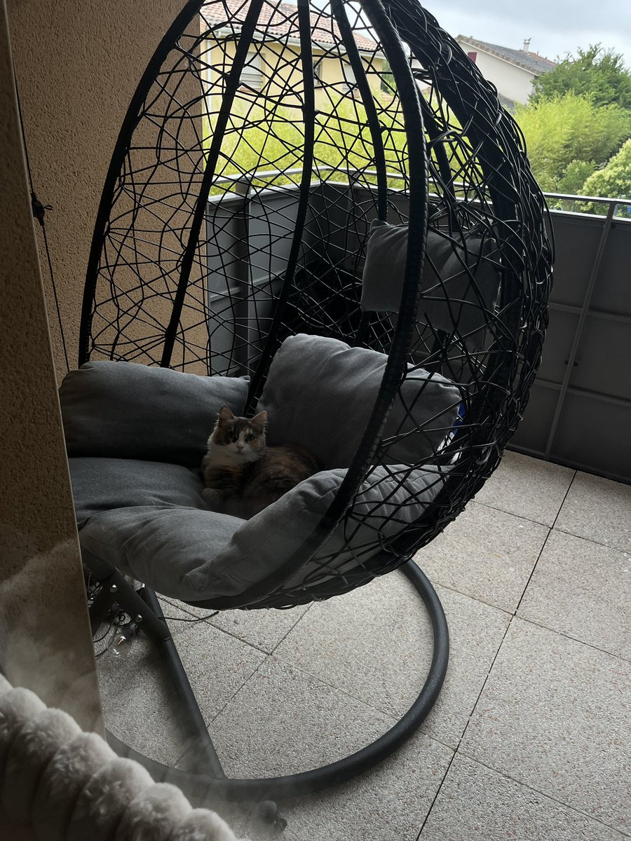 miachaussette's tweet photo. tous les matins je la retrouve ici c trop mignon… elle dort en boule dehors au frais dans l’œuf coco https://t.co/u9hoGlj8kv